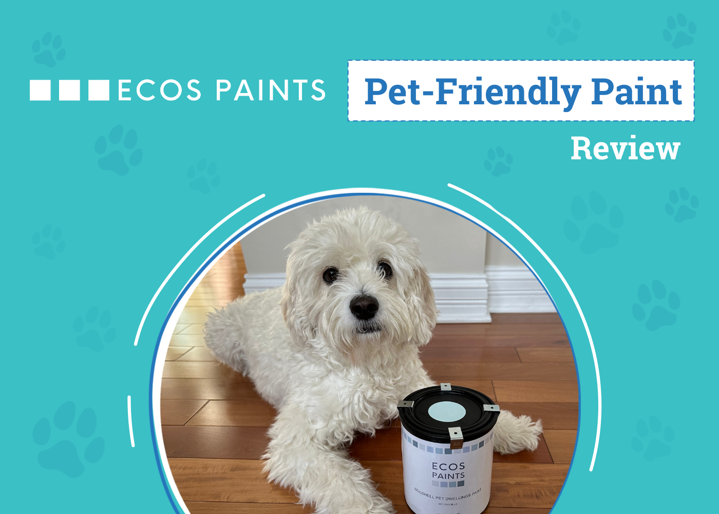 ECOS Pet-Friendly Paint Review 2026: An Expert's Breakdown