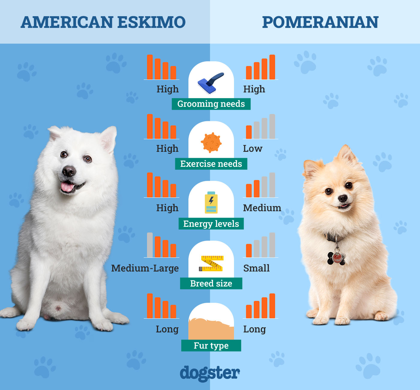 Dogster_Side by Side Comparison_American Eskimo vs Pomeranian