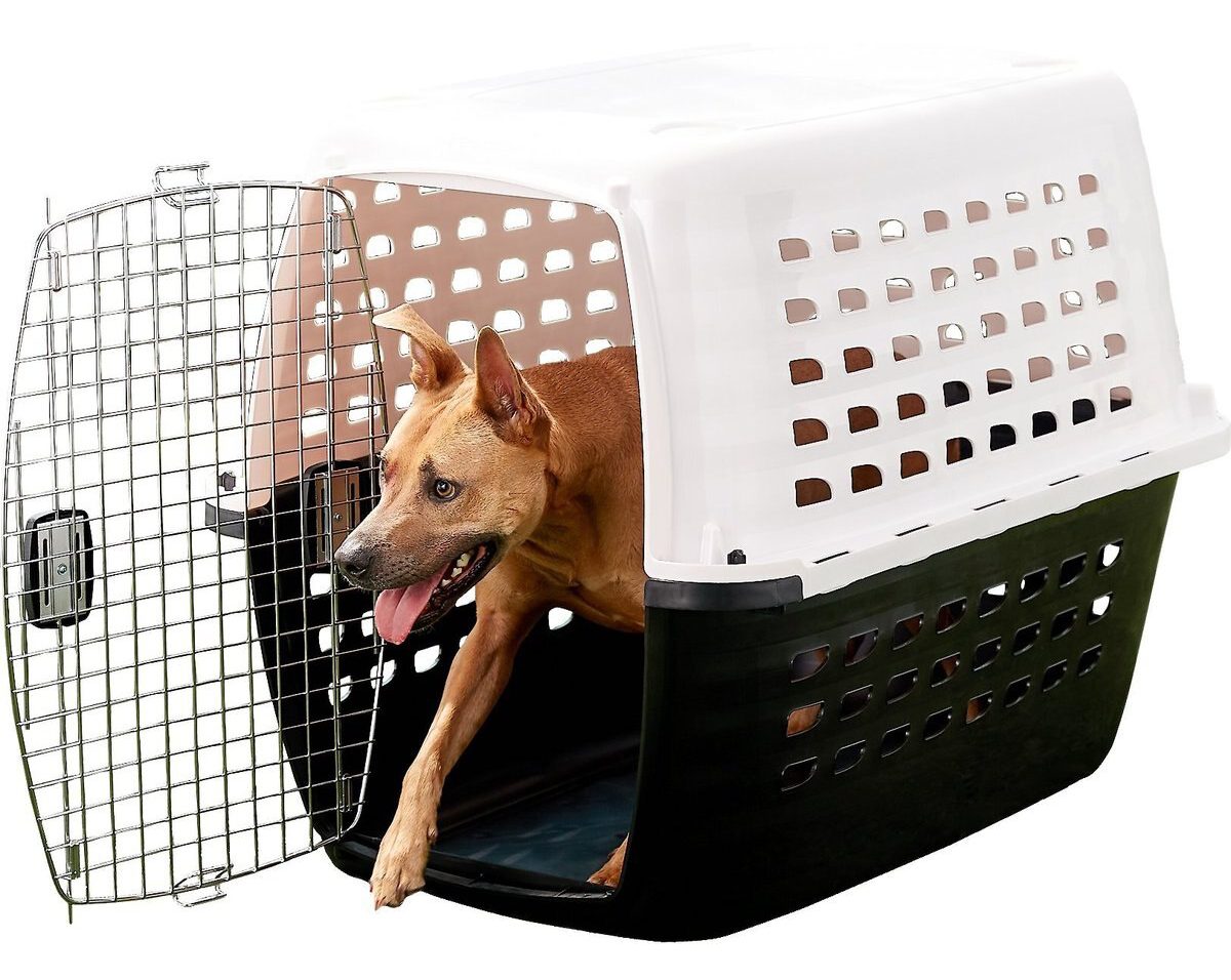 Petmate Compass Dog Kennel