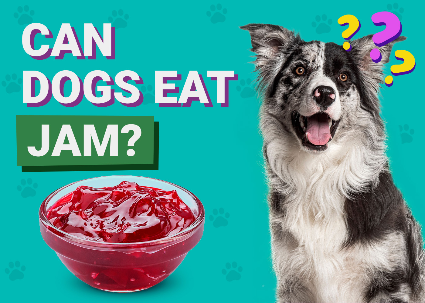 Can Dogs Eat Jam? Vet-Reviewed Potential Health Risks