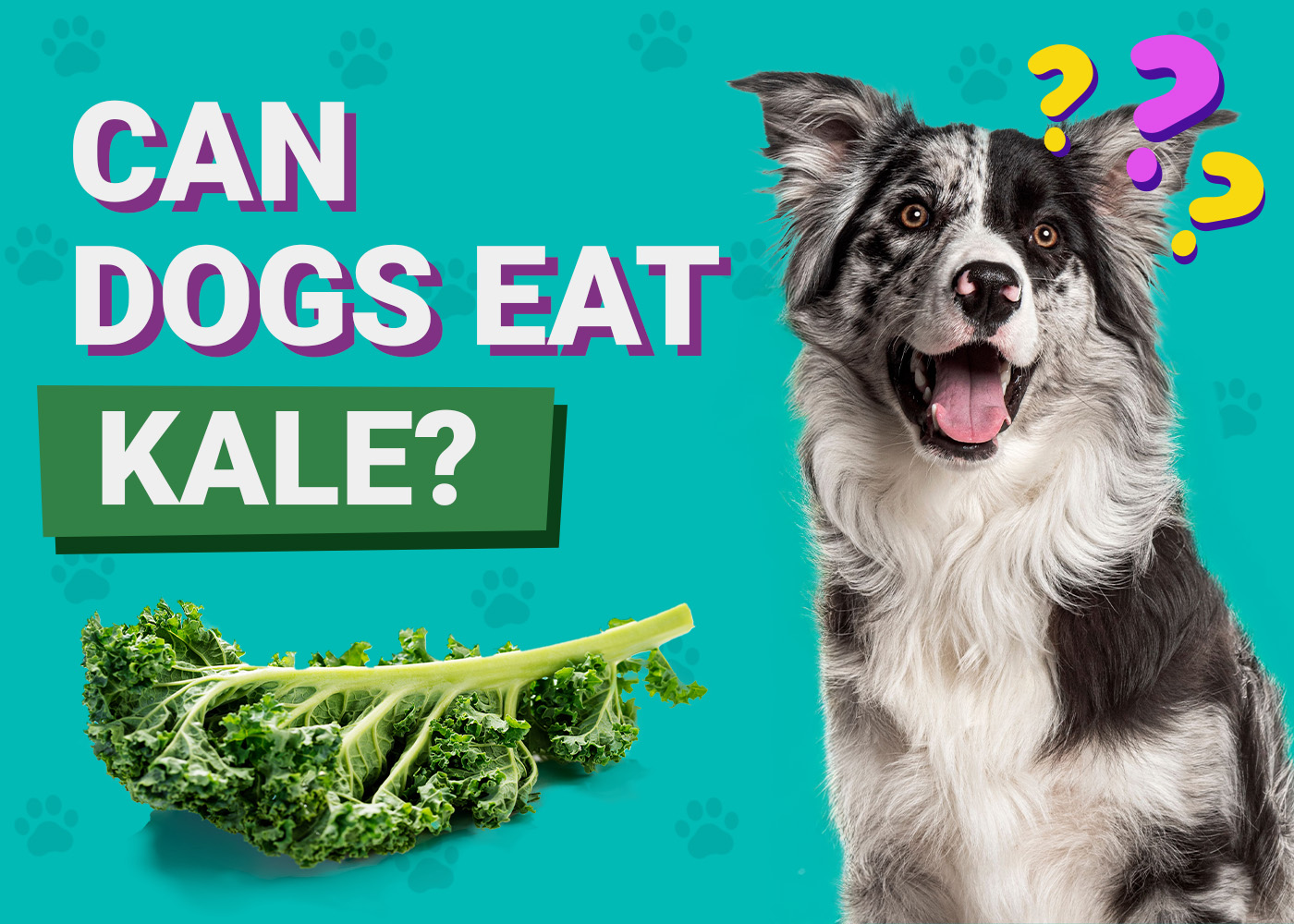 Can Dogs Eat Kale? Vet-Reviewed Facts to Know