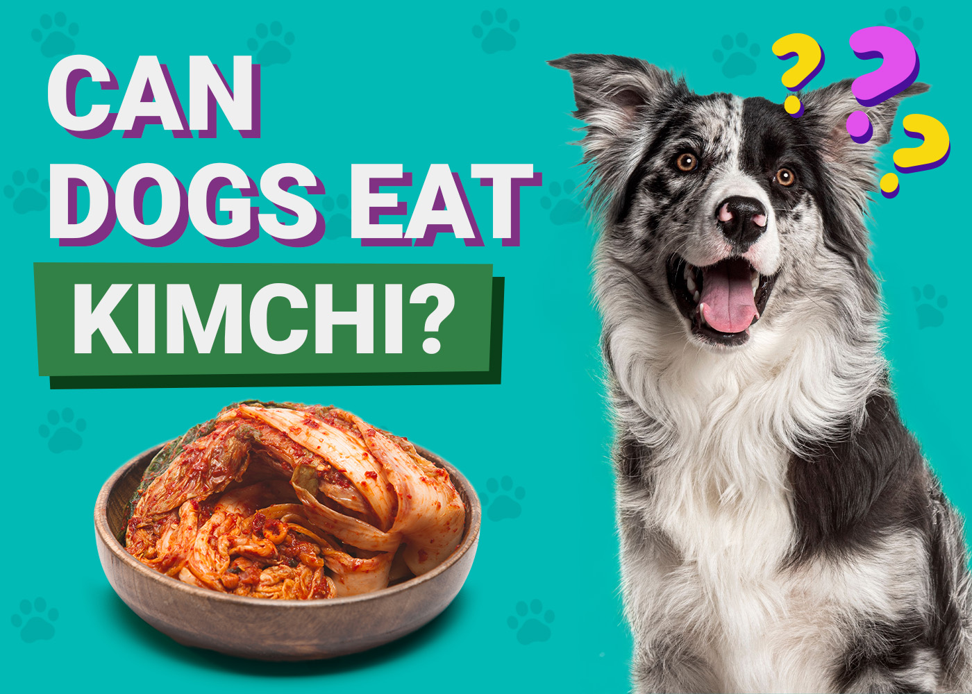 Can Dogs Eat Kimchi? Vet-Approved Nutrition Facts