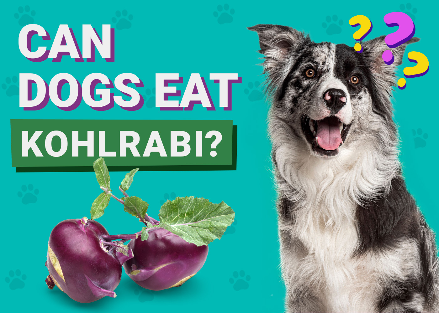 Can Dogs Eat Kohlrabi? Vet-Approved Facts & Safety Guide