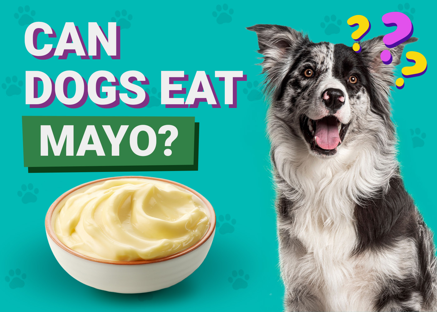 Can Dogs Eat Mayo? Vet-Verified Nutritional Facts & FAQ
