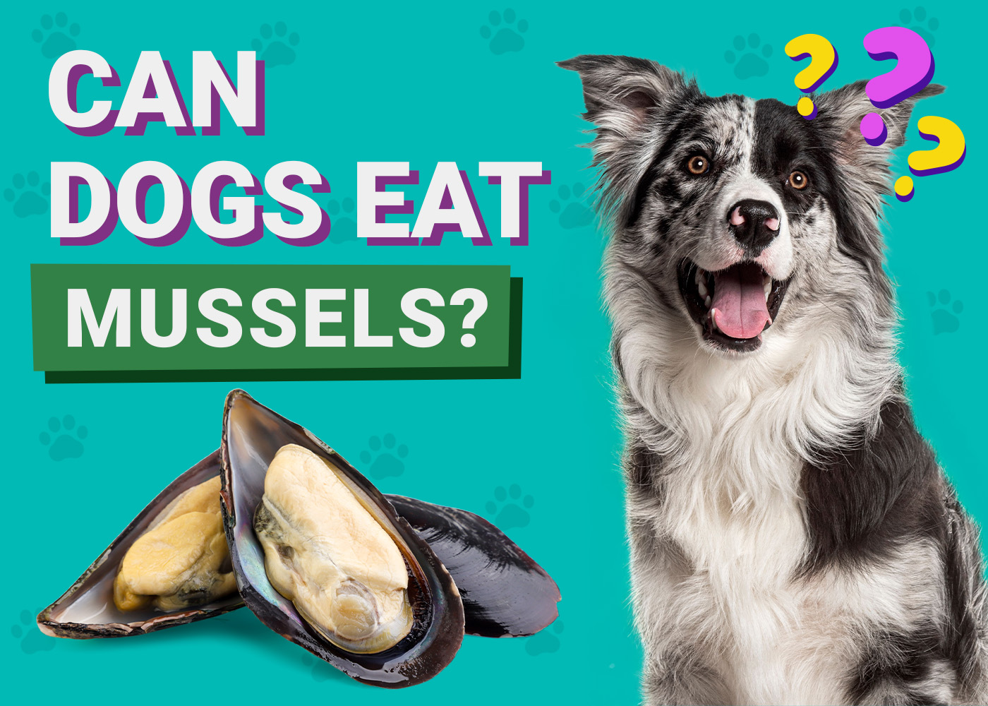 Can Dogs Eat Mussels? Vet-Approved Benefits & Safety Tips