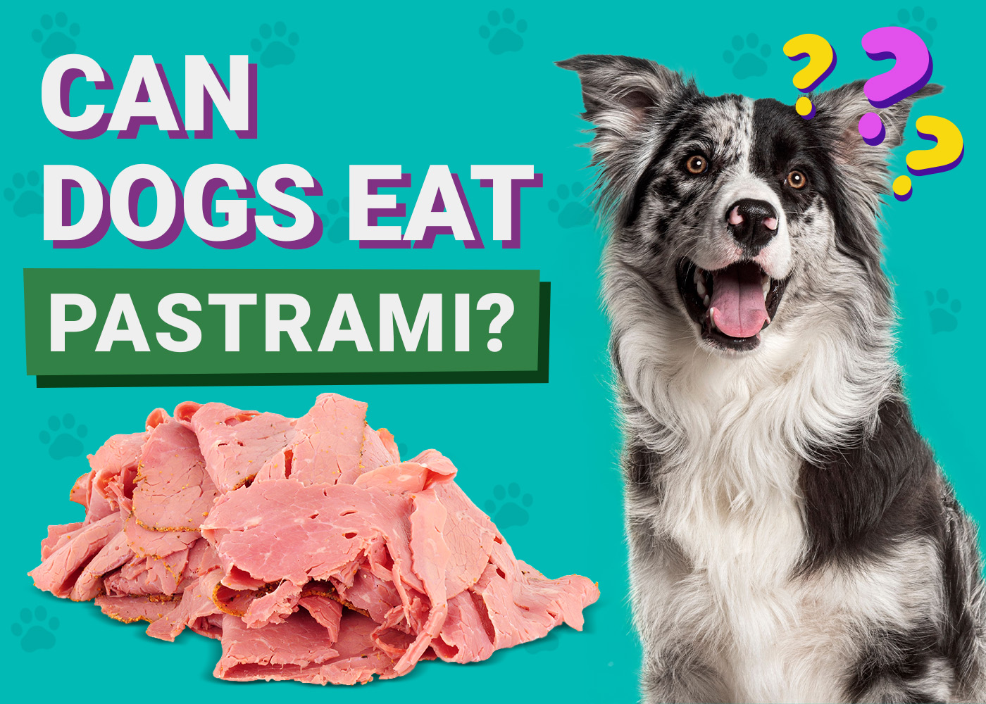 Can Dogs Eat Pastrami? Vet-Reviewed Dietary Guidance