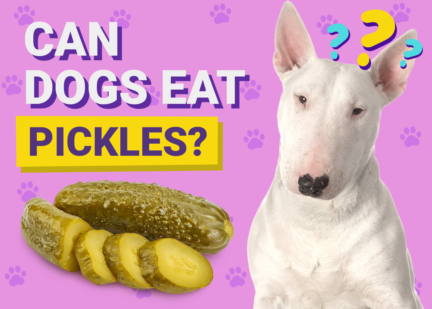 Can Dogs Eat Pickles? Vet-Verified Nutrition Facts & FAQ