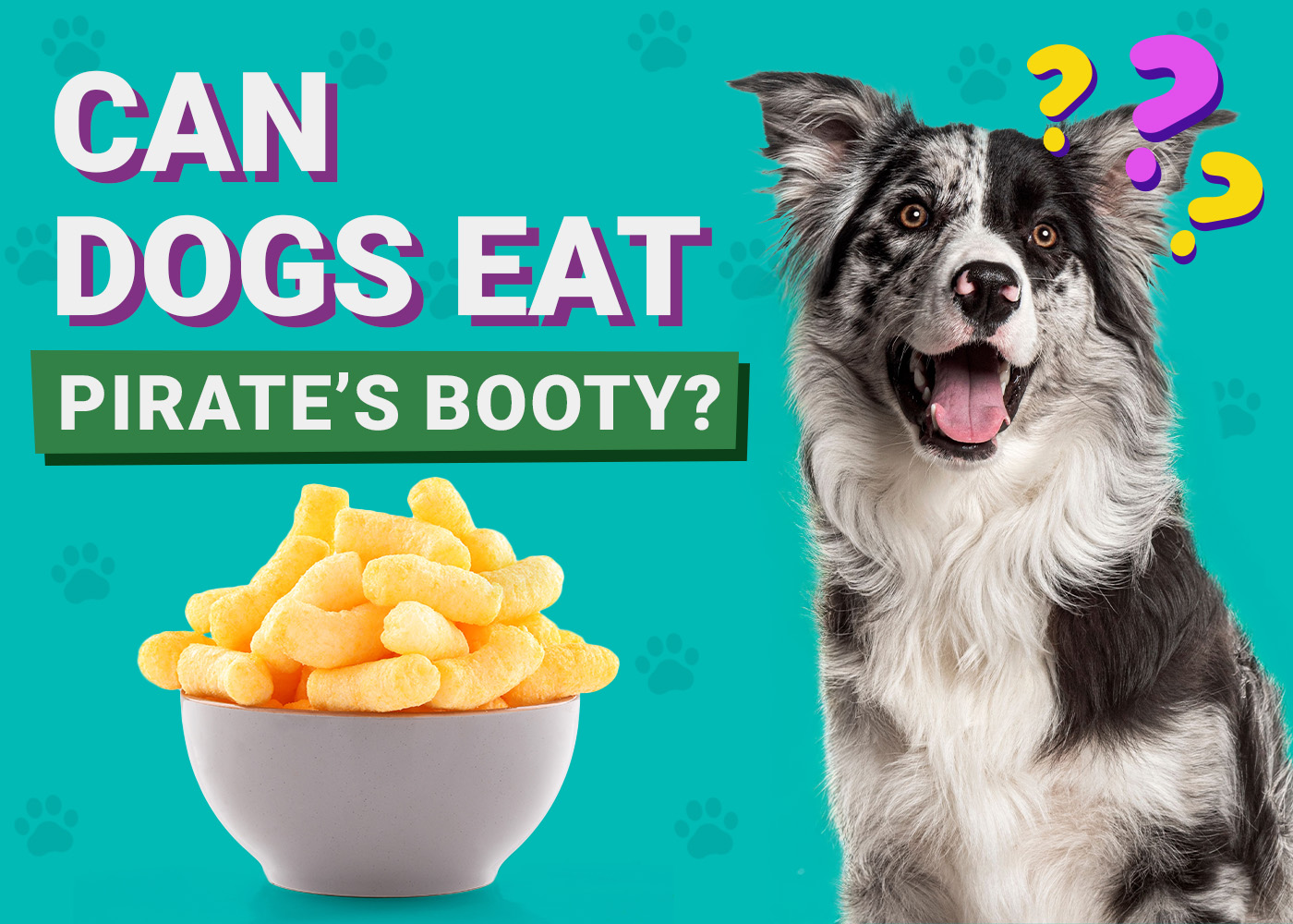 Can Dogs Eat Pirate’s Booty? Vet-Reviewed Health Facts & Risk