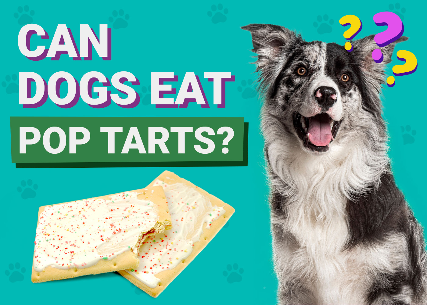 Can Dogs Eat Pop-Tarts? Vet-Verified Risks & Alternatives