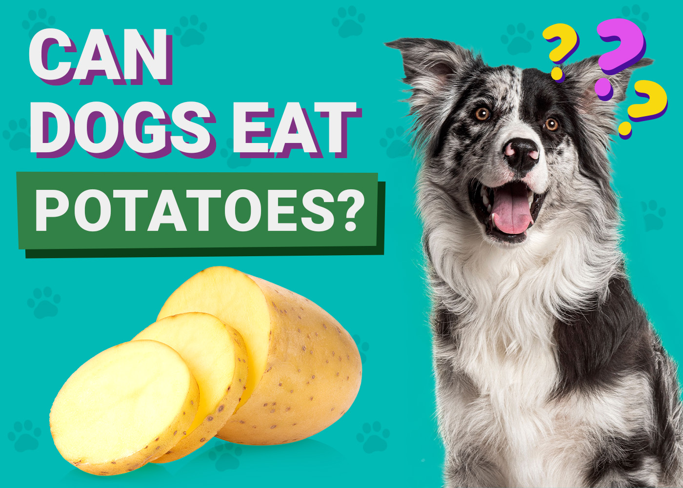 Can Dogs Eat Potatoes? Vet-Verified Facts & FAQ