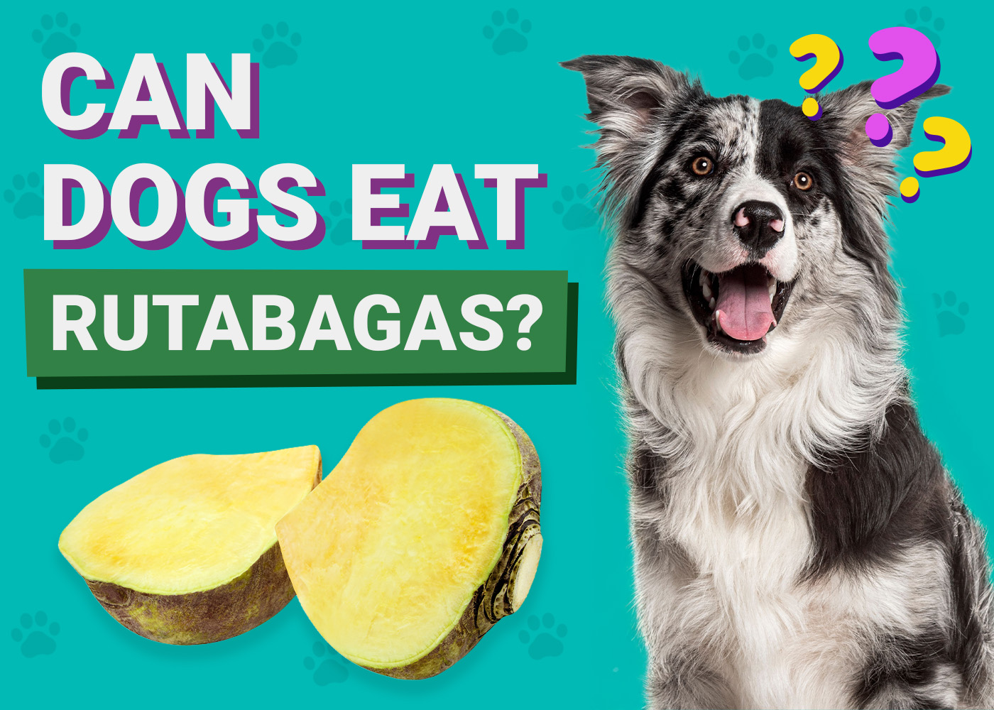 Can Dogs Eat Rutabagas? Vet-Reviewed Facts & FAQ