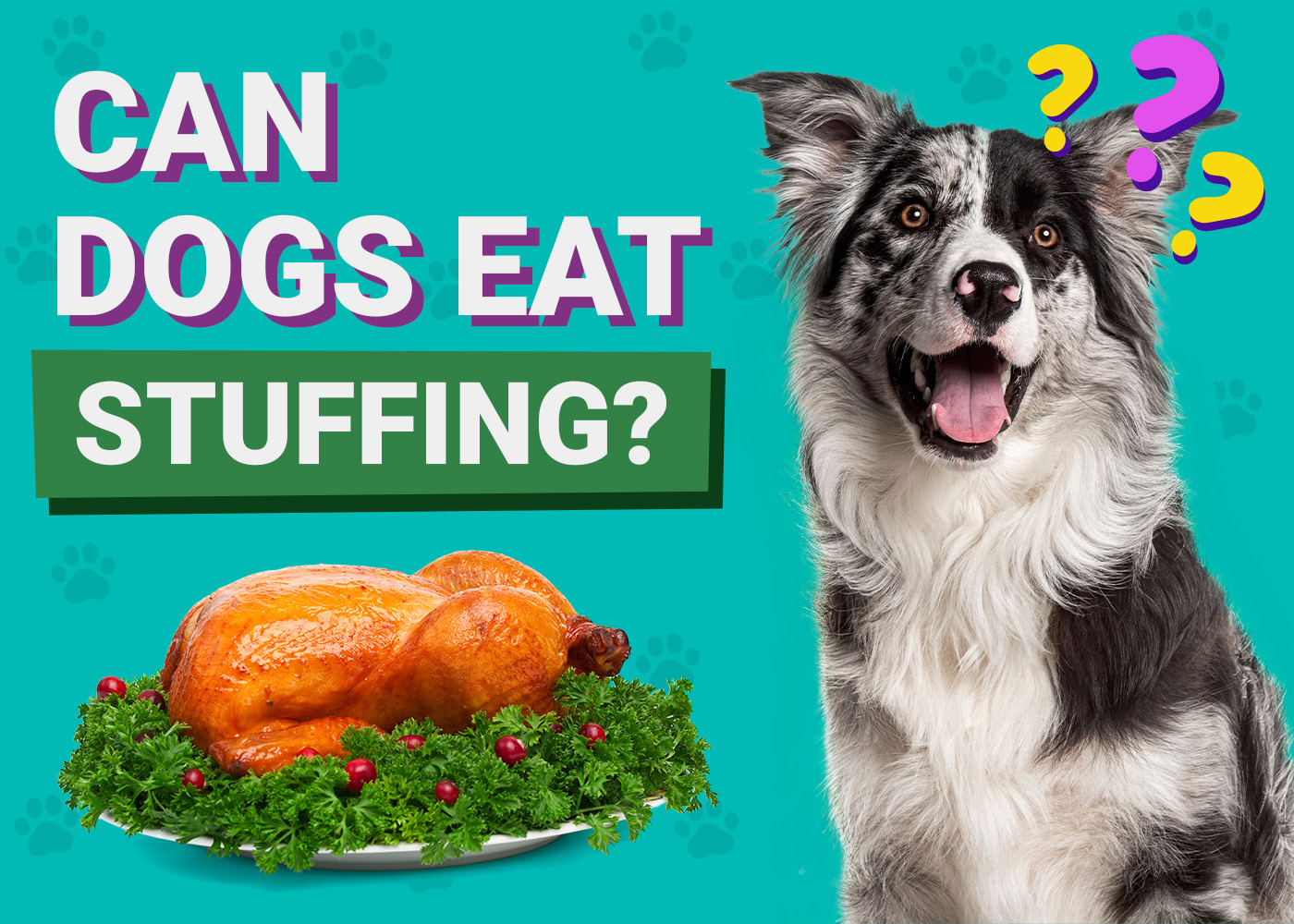 Can Dogs Eat Stuffing? Vet-Reviewed Facts & FAQ