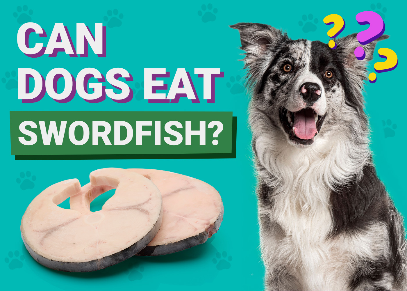 Can Dogs Eat Swordfish? Vet-Approved Facts & FAQ
