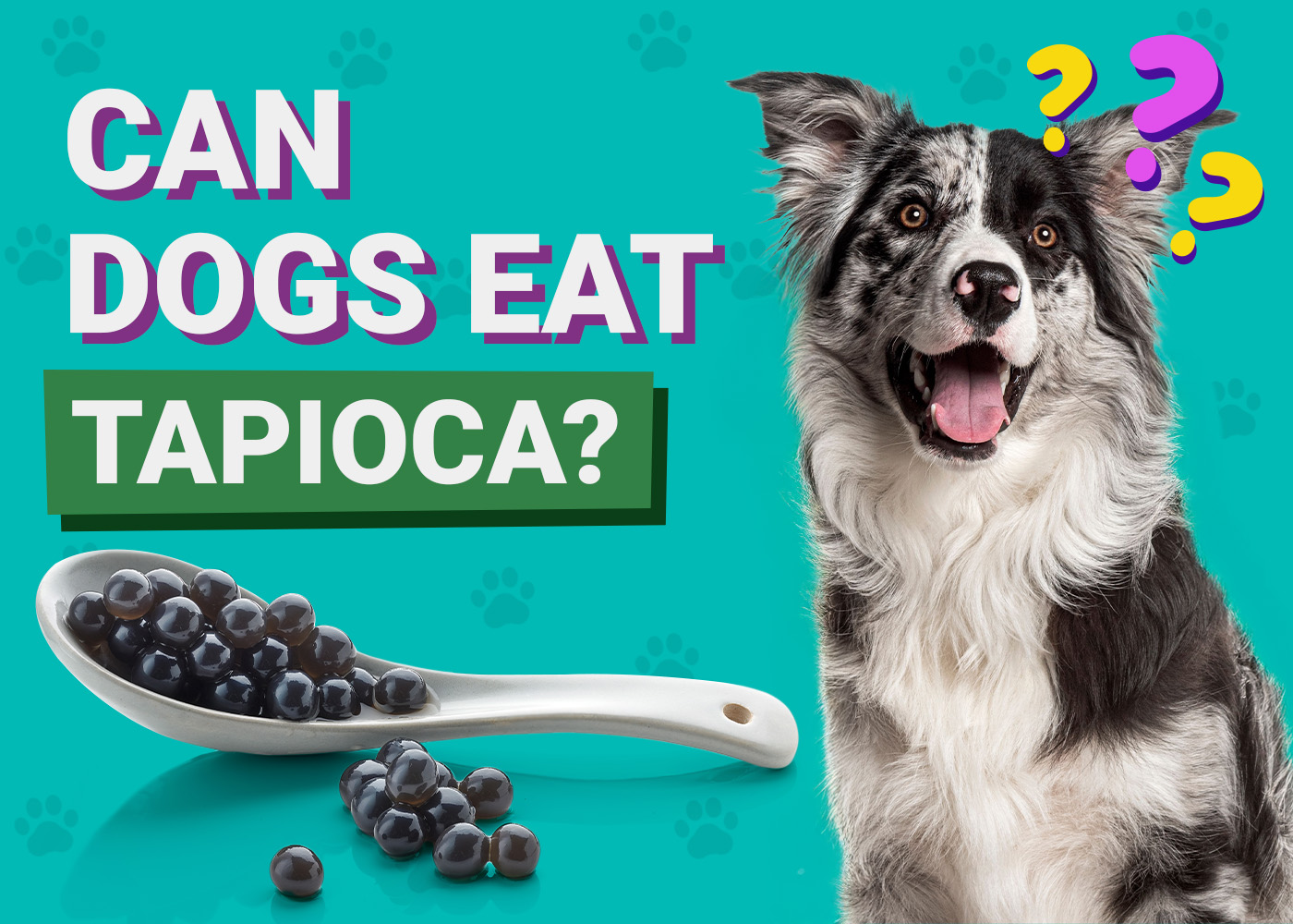 Can Dogs Eat Tapioca? Vet-Verified Facts, Pros & Cons