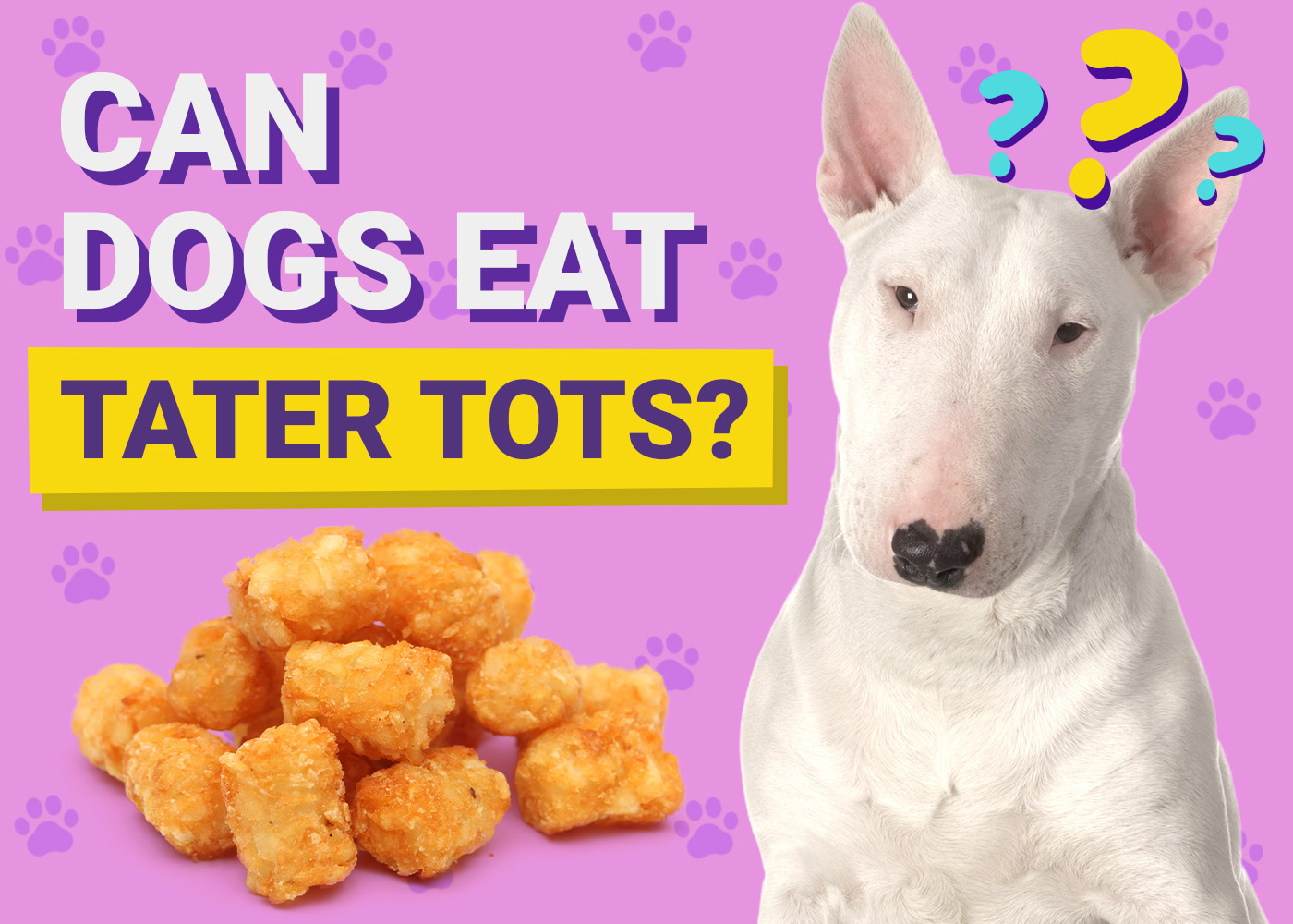 Can Dogs Eat Tater Tots? Vet-Approved Facts & FAQ