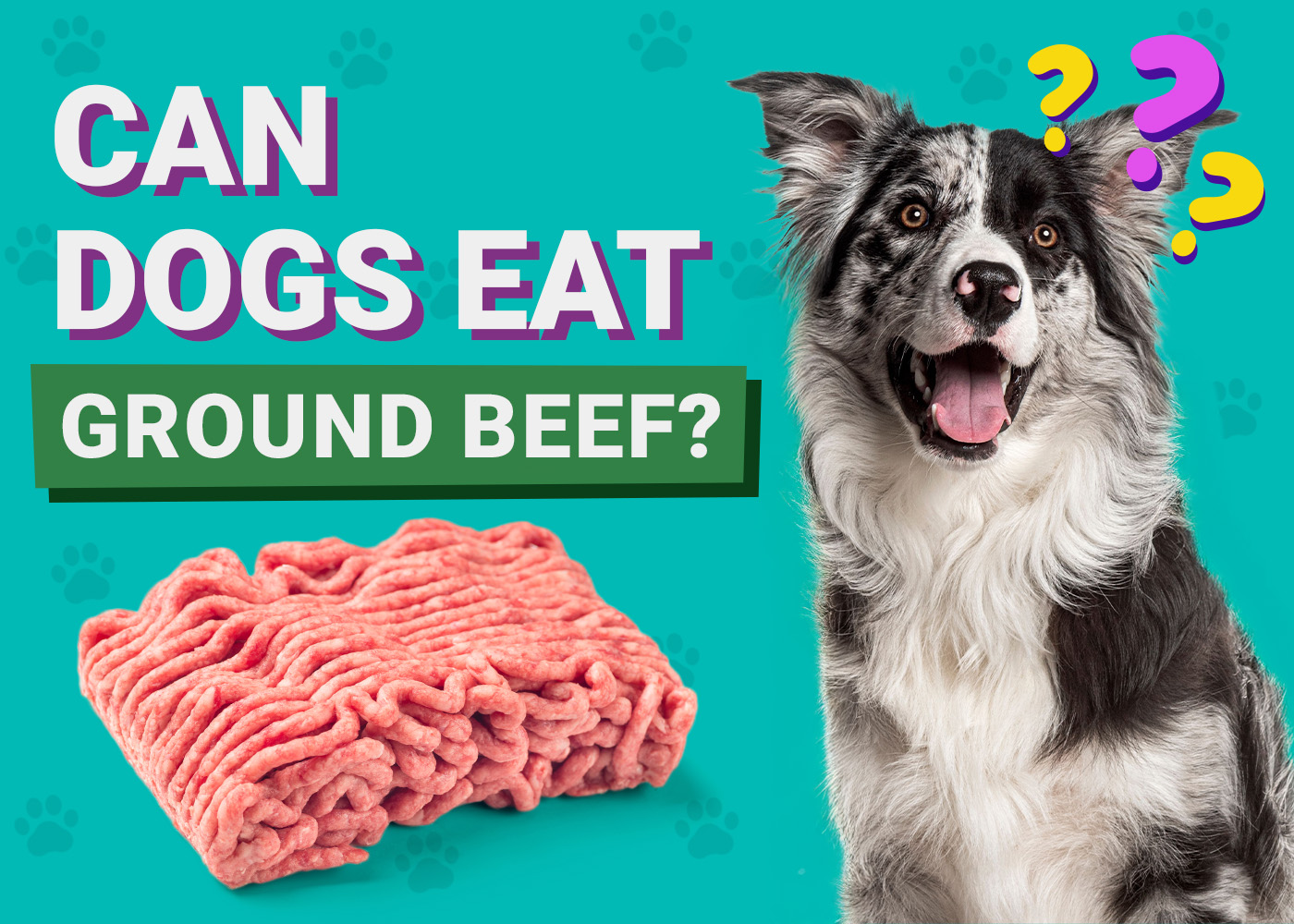 Can Dogs Eat Ground Beef? Vet-Verified Benefits, Tips & FAQ