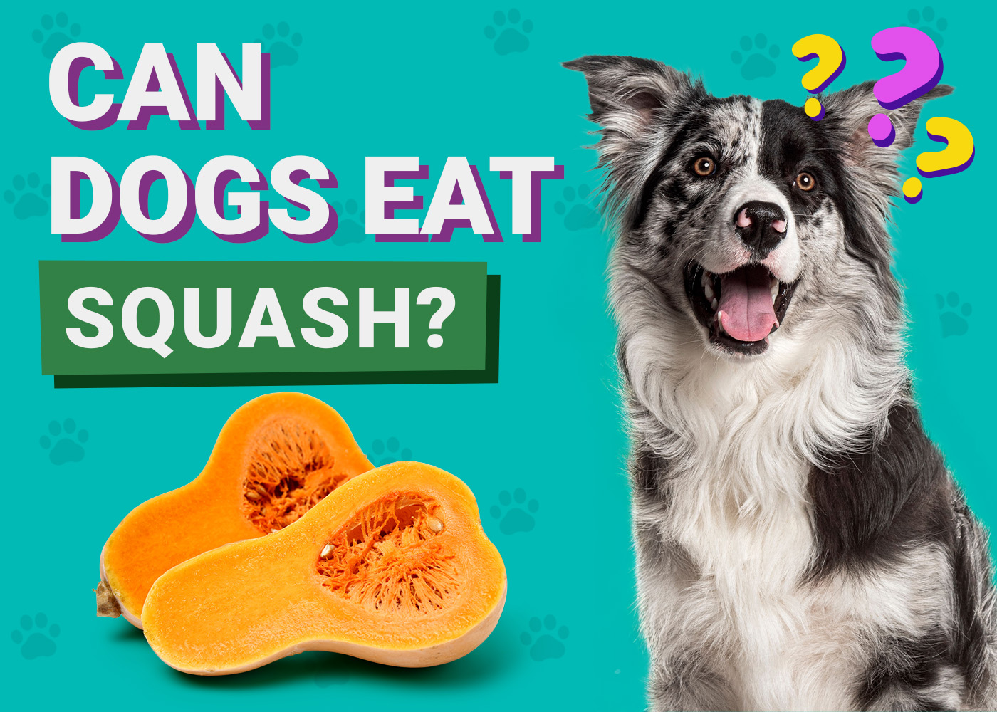 Can Dogs Eat Squash? Vet-Verified Nutrition Facts & FAQ