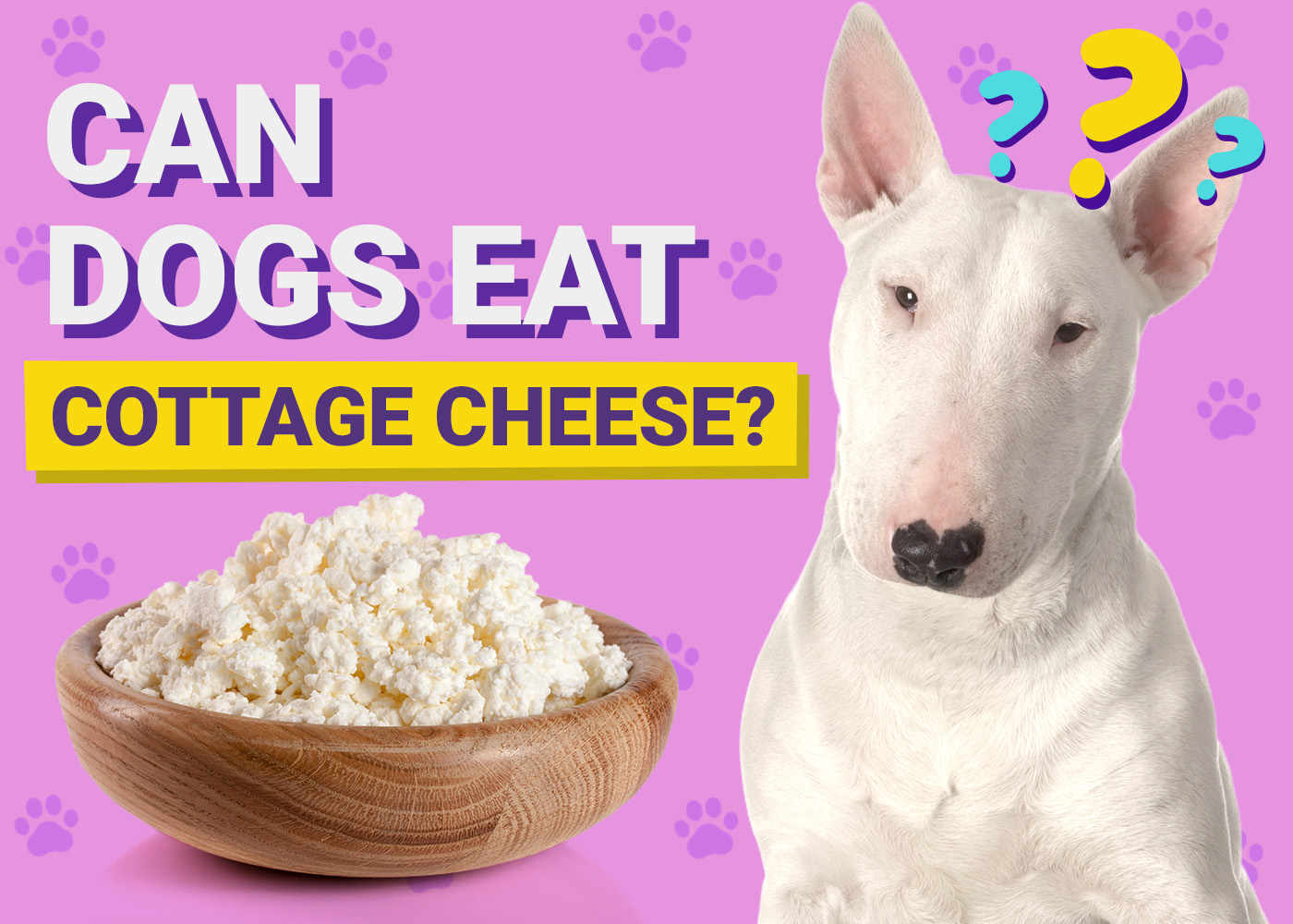 Can Dogs Eat Cottage Cheese? Vet-Verified Nutrition Facts & Safety Guide