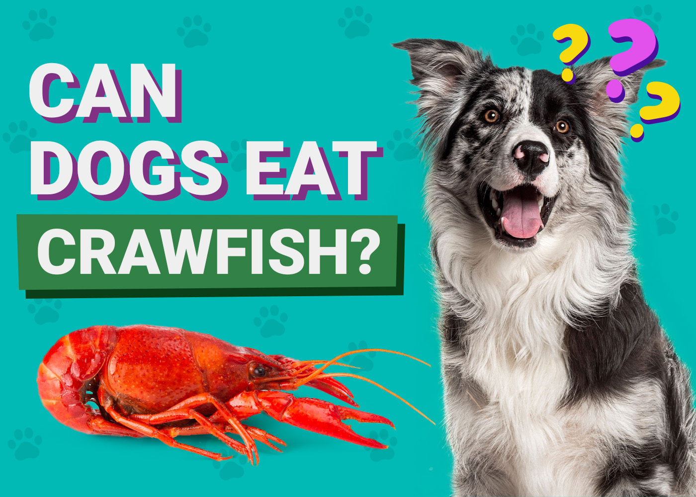 Can Dogs Eat Crawfish? Vet Reviewed Facts & FAQs