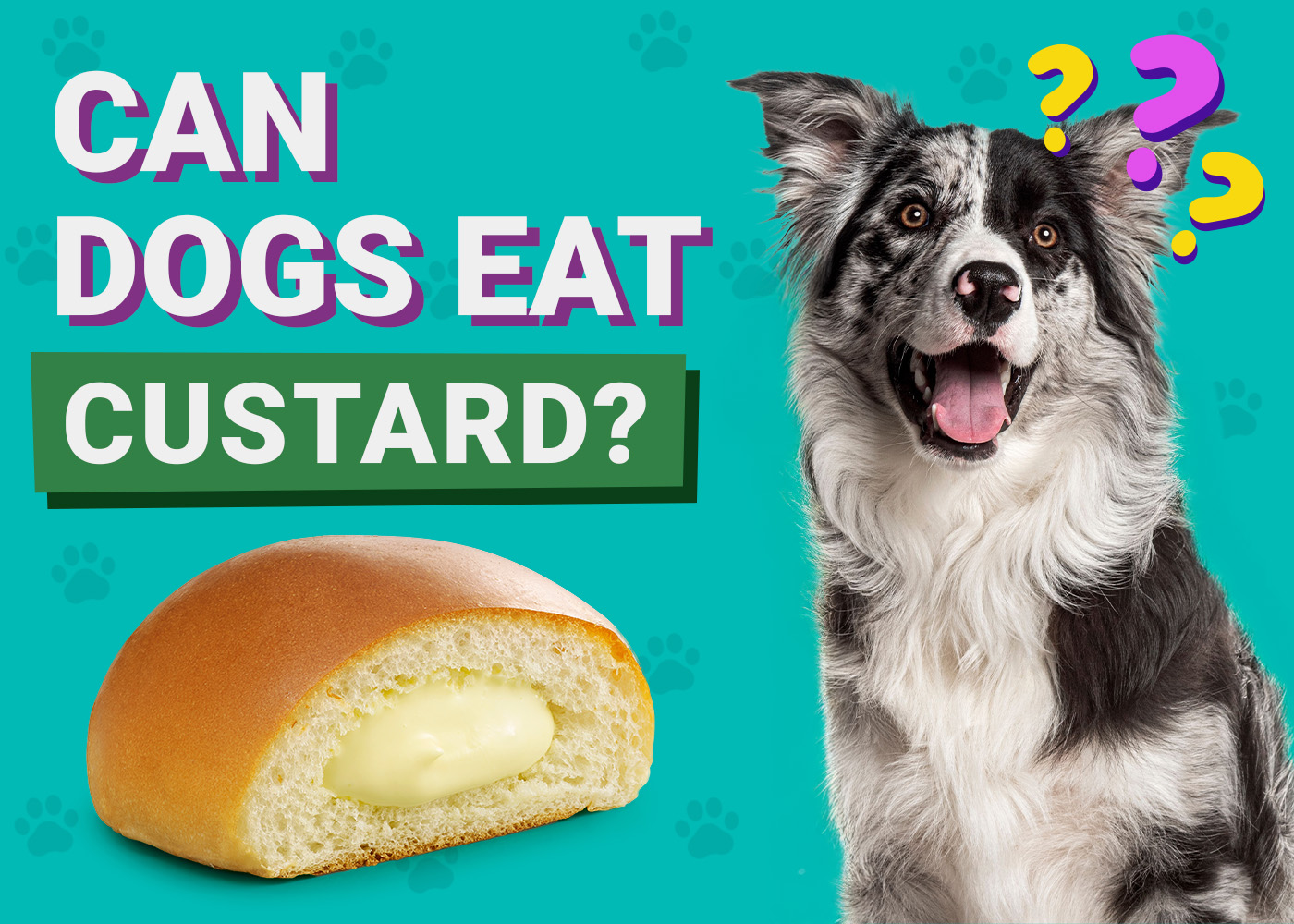 Can Dogs Eat Custard? Vet Approved Advice