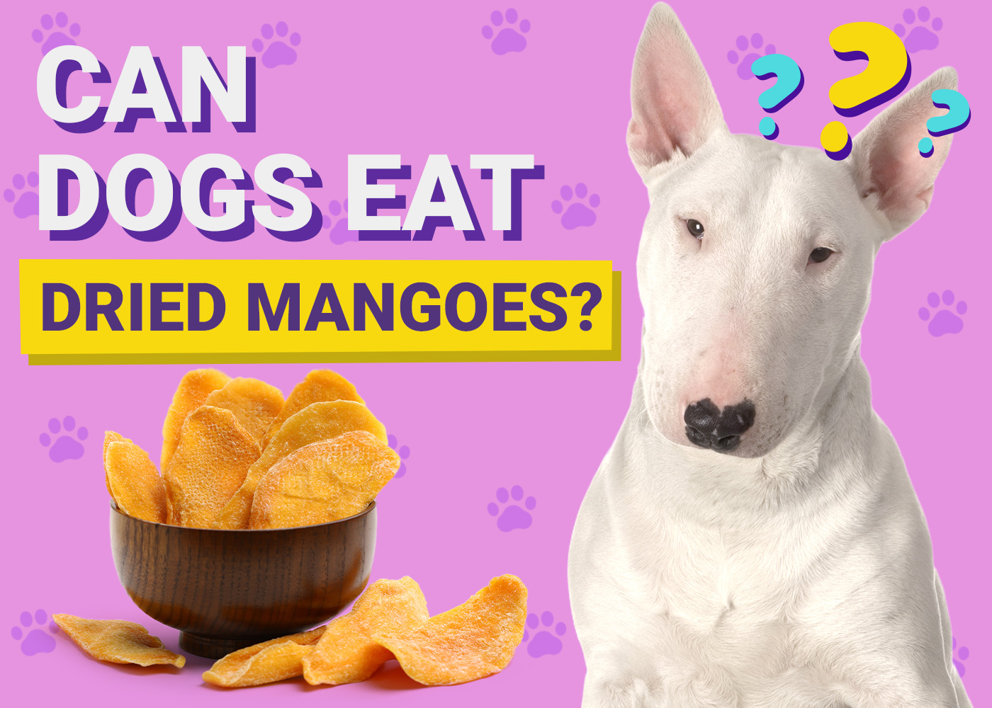 Can Dogs Eat Dried Mangoes? Vet-Verified Nutritional Info & Risks