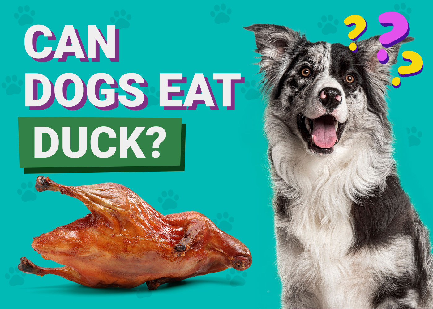 Can Dogs Eat Duck? Vet-Verified Health Benefits