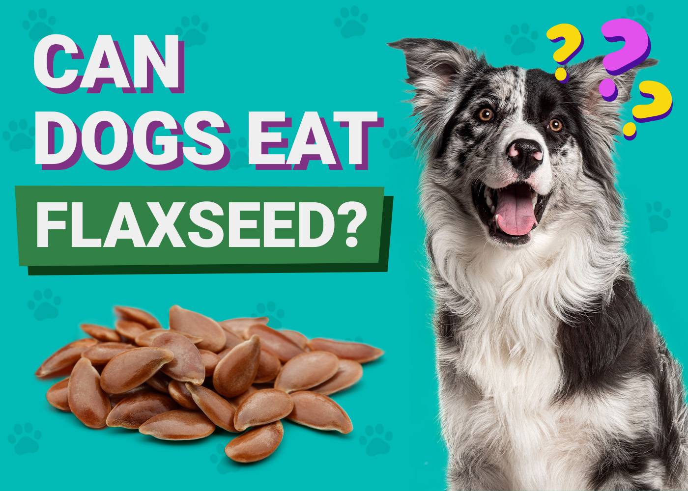 Can Dogs Eat Flaxseed? Vet Reviewed Diet & Health Facts