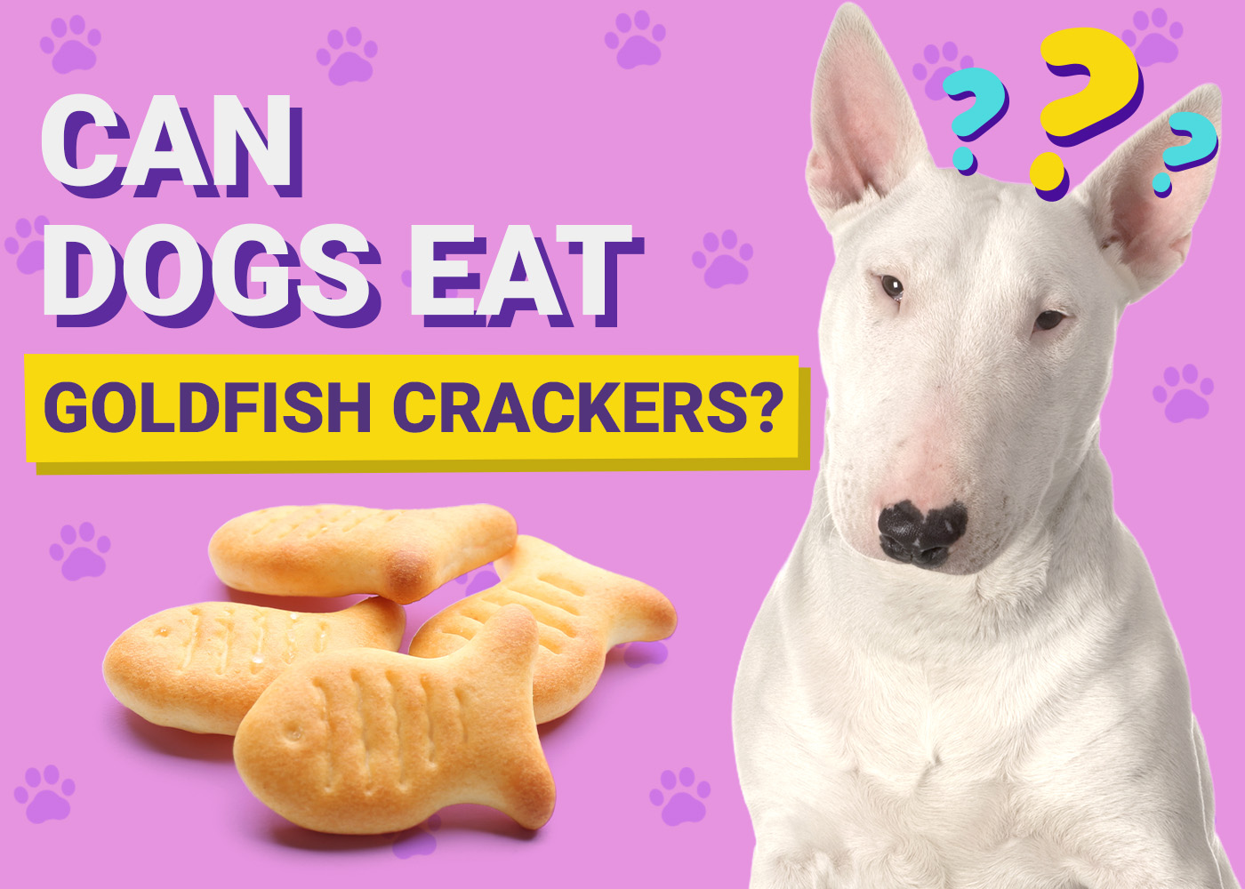 Can Dogs Eat Goldfish Crackers? Vet-Verified Facts & Tips