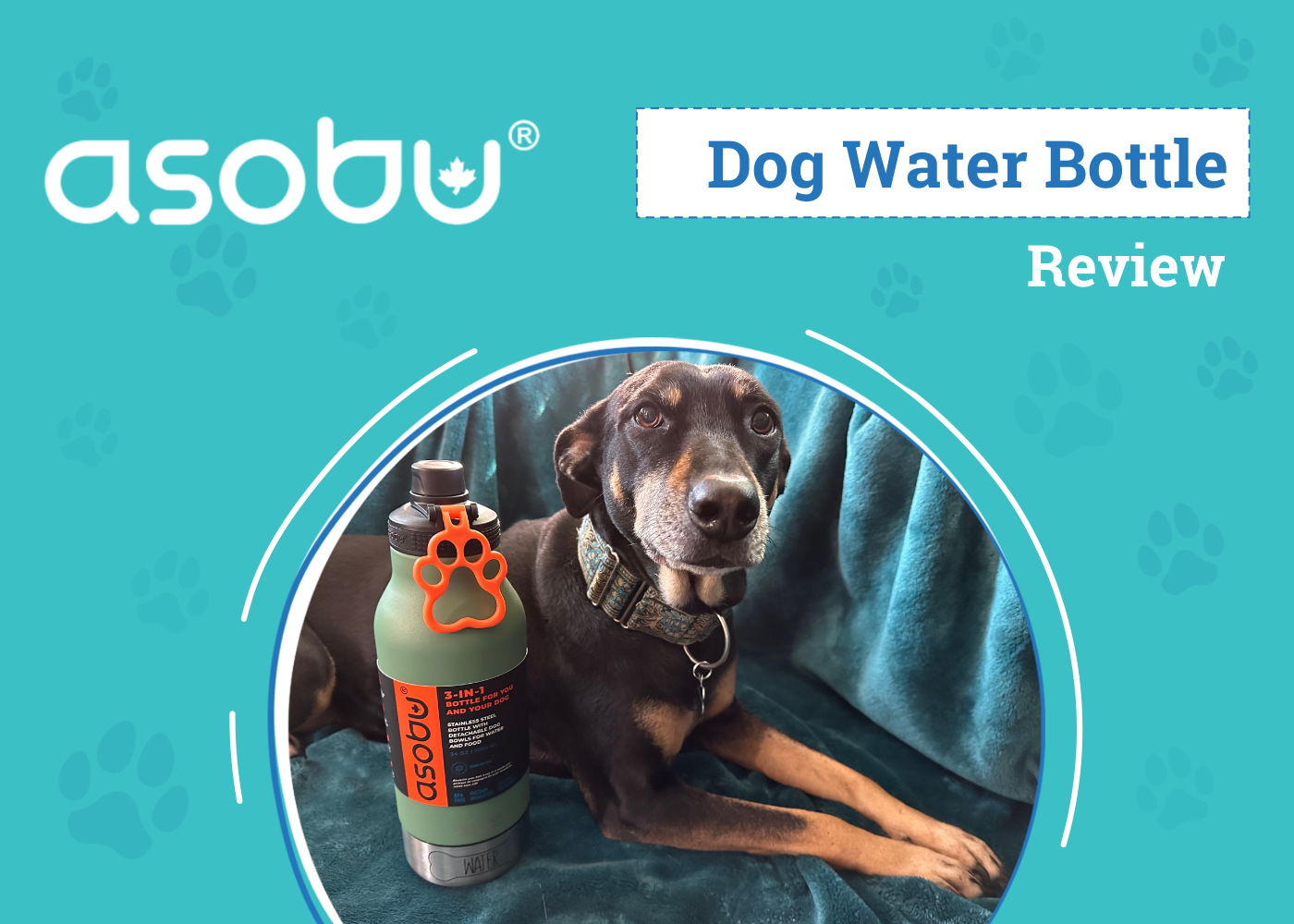 Asobu Green Buddy Bottle Dog Product Review 2026: An Expert's Breakdown
