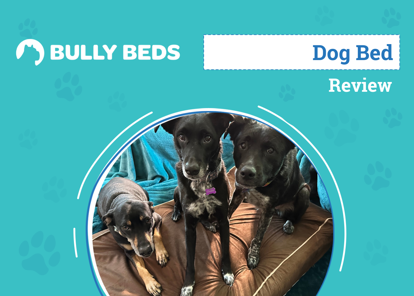 Bully Bed Orthopedic Large Dog Bed Review 2026: An Expert's Breakdown