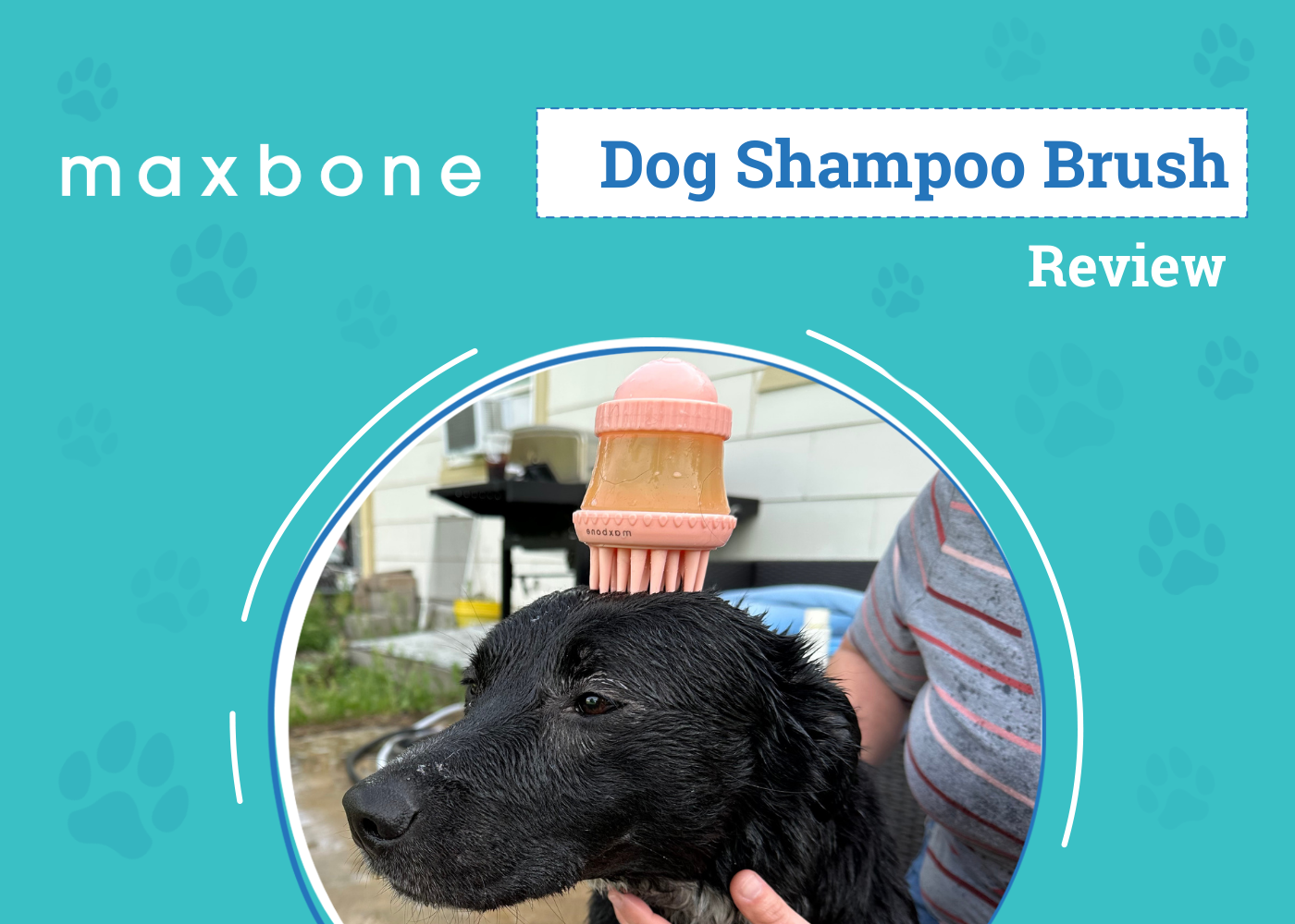 Maxbone Deep Cleanse Shampoo Dispensing Brush Review 2026: An Expert's Breakdown