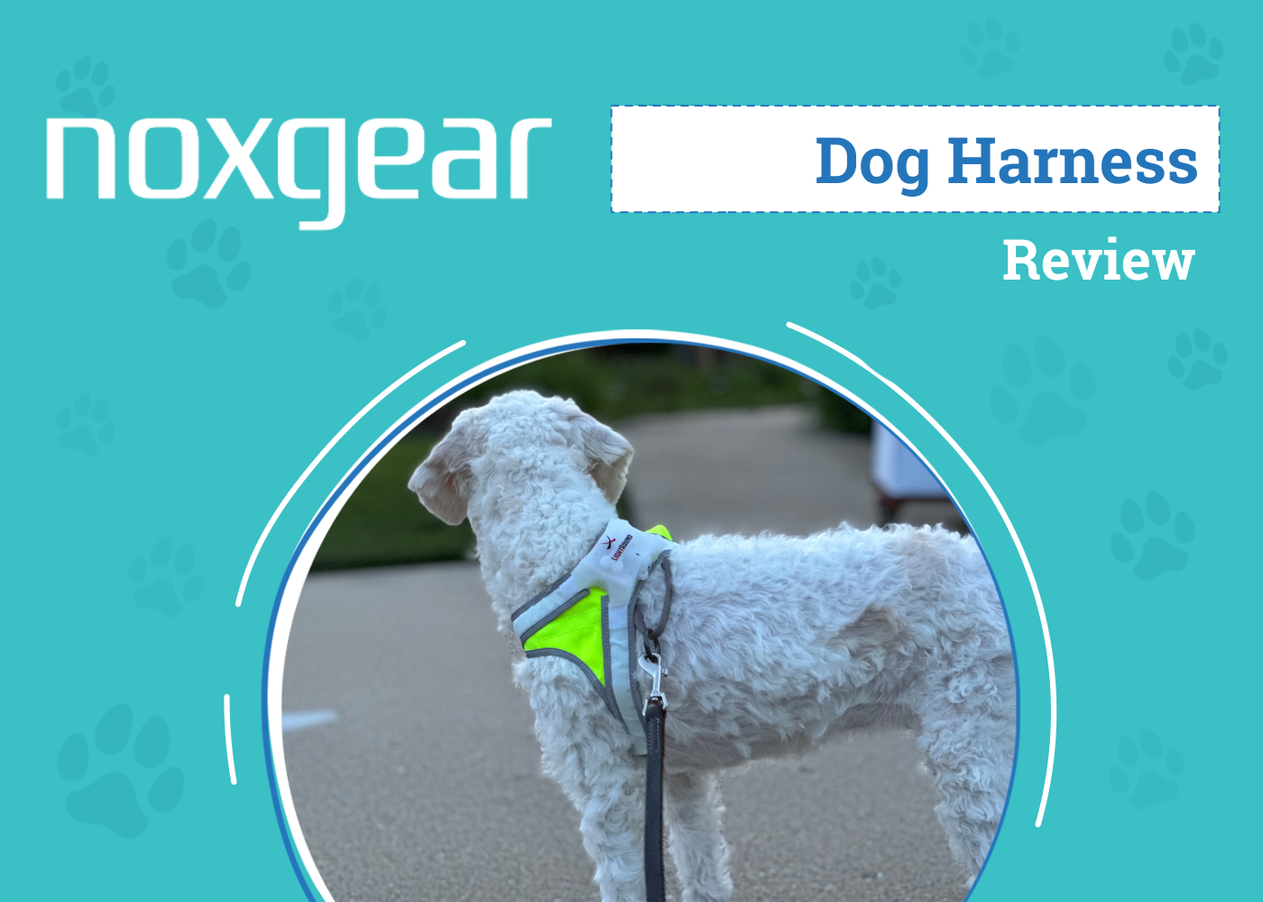 Noxgear LightHound LED Dog Harness Review 2026: An Expert's Breakdown