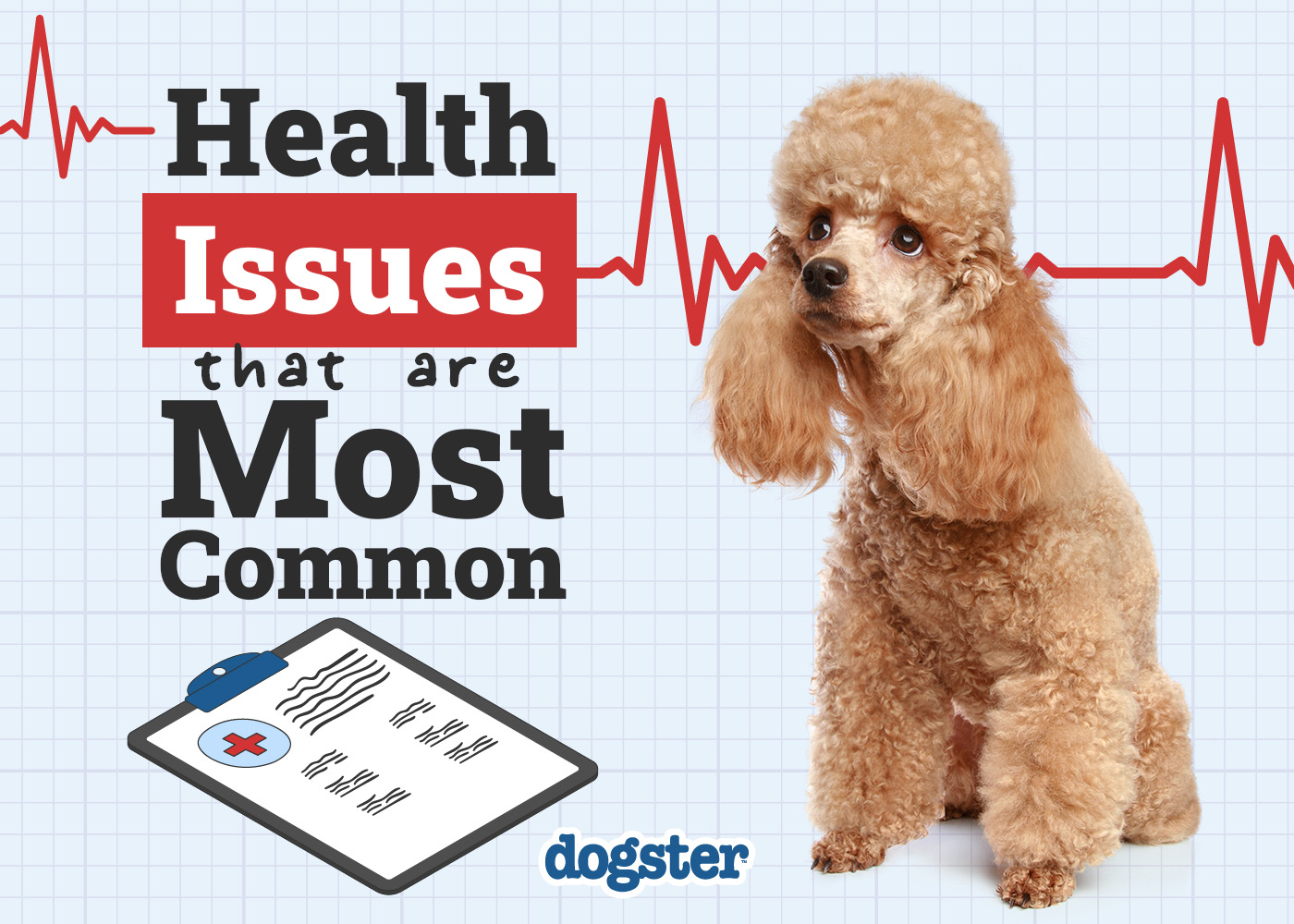 10 Most Common Dog Health Problems: Vet-Verified Facts & Signs