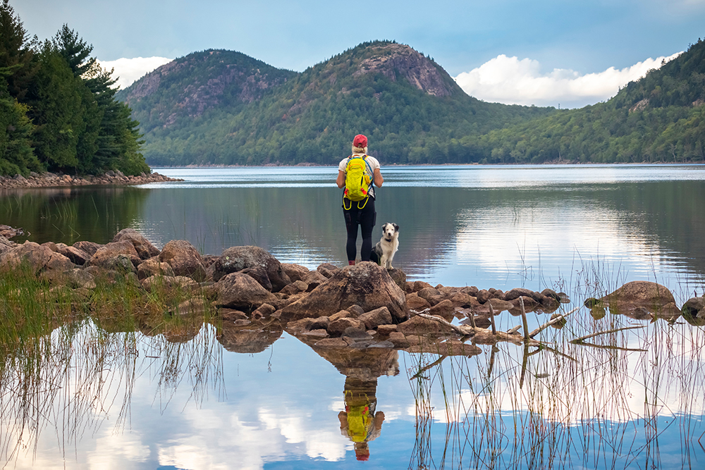 How Can I Talk With a Vet if I Am in the Middle of Nowhere? 5 Ideas to Help (Vet Reviewed)