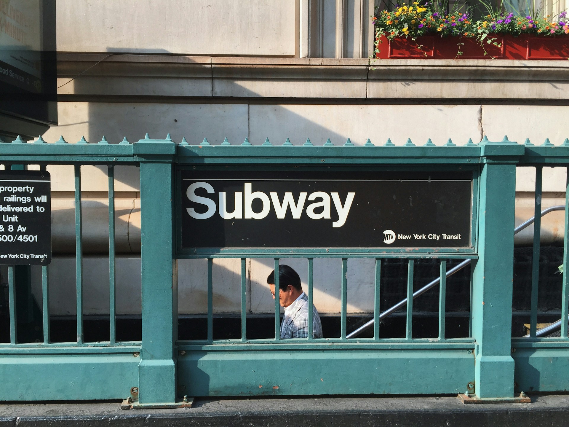 Are Dogs Allowed on the NYC Subway? Guidelines & Exceptions