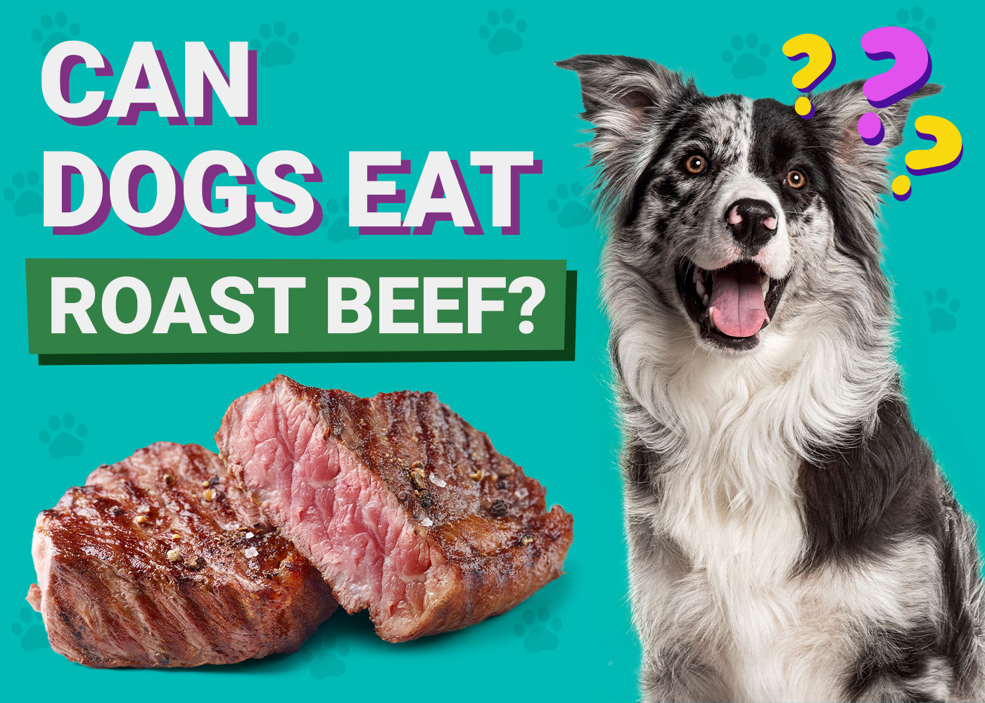 Can Dogs Eat Roast Beef? Vet-Verified Nutrition Facts & FAQ