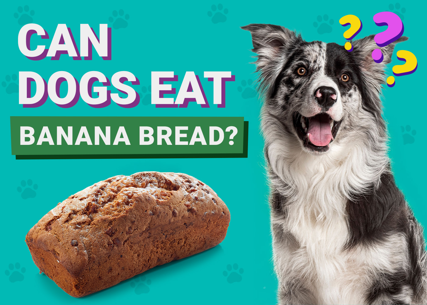 Can Dogs Eat Banana Bread? Vet-Reviewed Facts & Safety Guide
