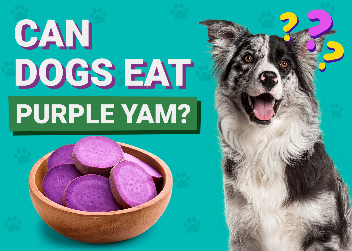 Can Dogs Eat_purple yam