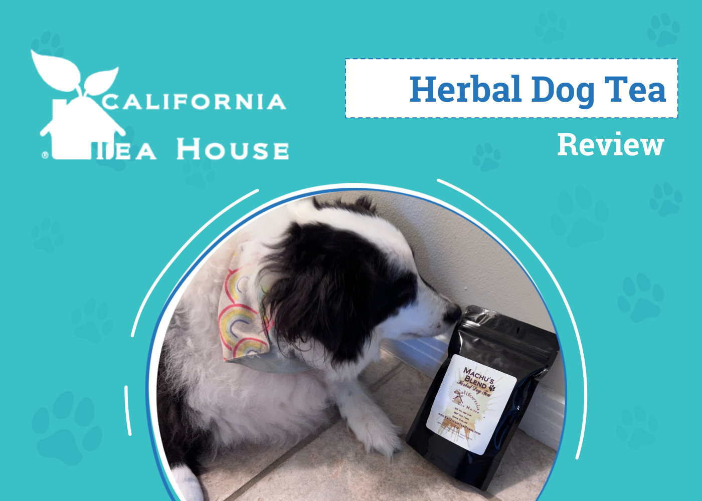 California Tea House Machu’s Blend Herbal Dog Tea Review 2026: An Expert's Breakdown