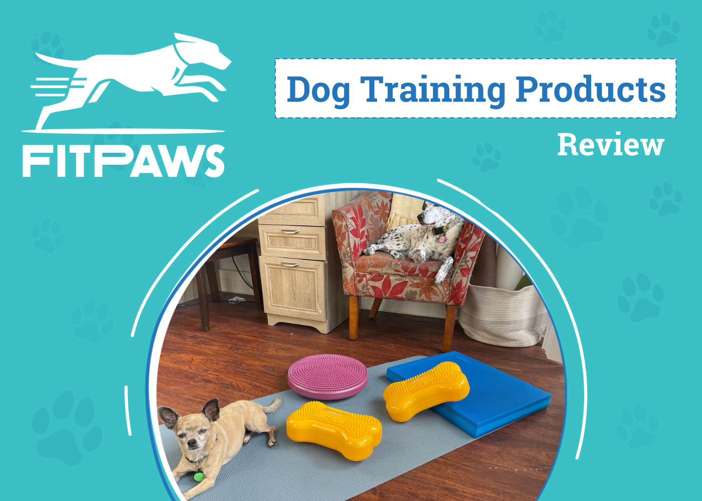 FitPaws Dog Training Products Review 2026:  Pros, Cons & Verdict: An Expert's Breakdown