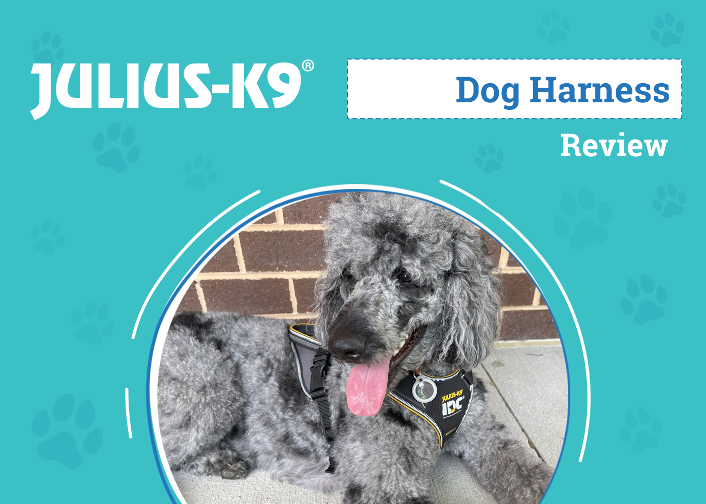 Julius K9 Longwalk Dog Harness Review 2026: An Expert's Breakdown
