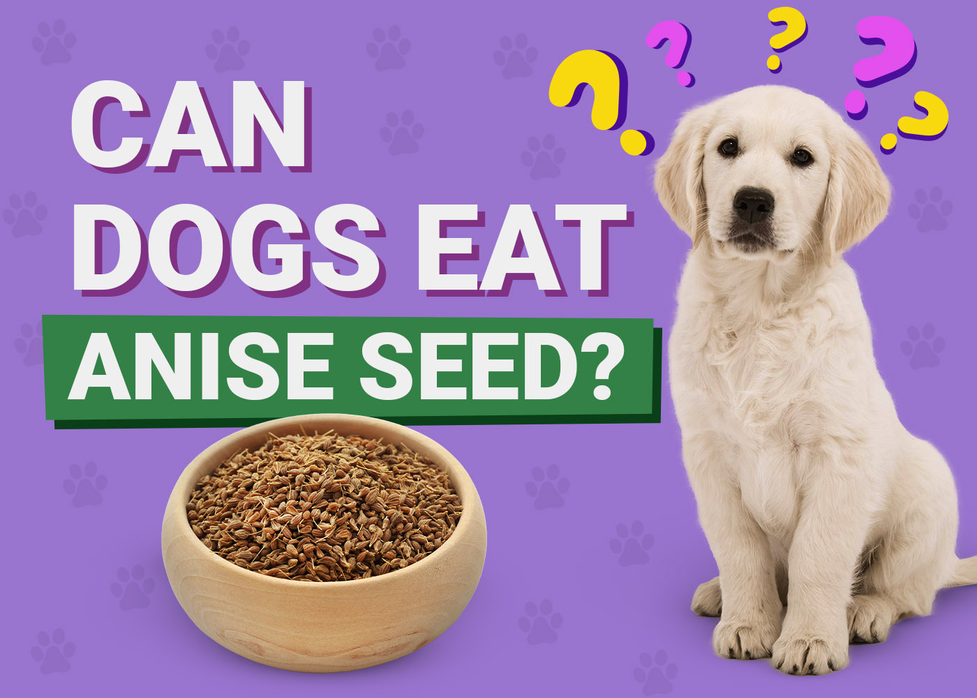 Can Dogs Eat Anise Seed? Vet-Approved Benefits & Risks