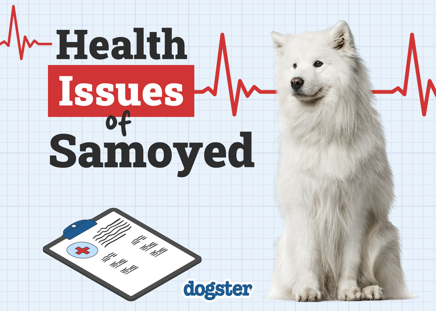 7 Samoyed Health Issues You Should Know Before You Get One