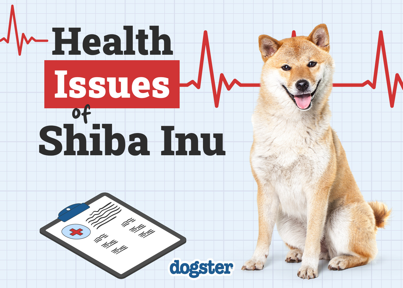 6 Common Health Problems in Shiba Inu Dogs to Be Aware Of