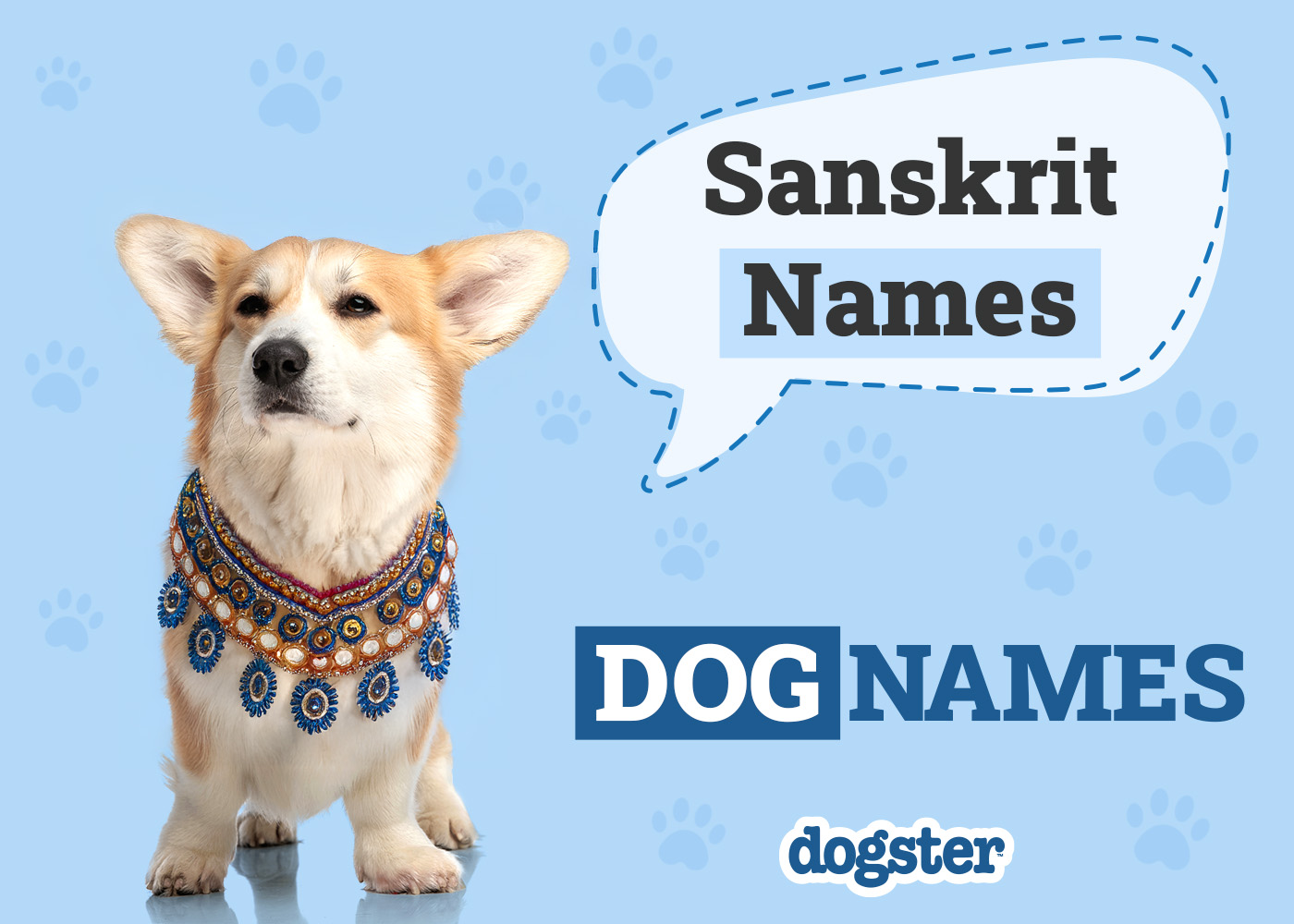 145+ Sanskrit Dog Names: Popular Male & Female Options