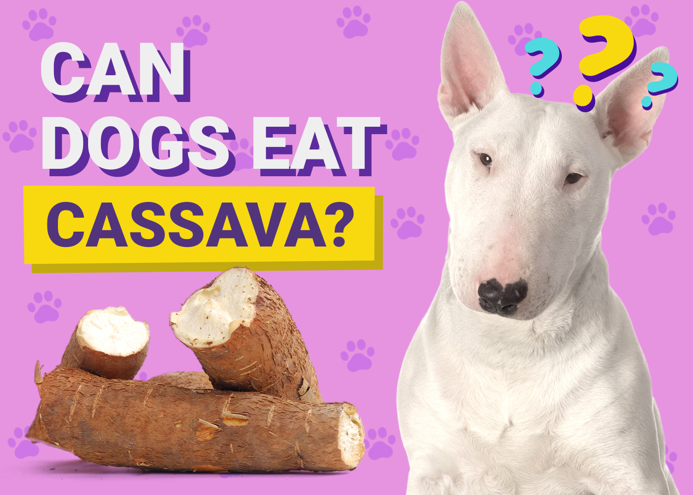 Can Dogs Eat Cassava? Vet Reviewed Nutrition Facts