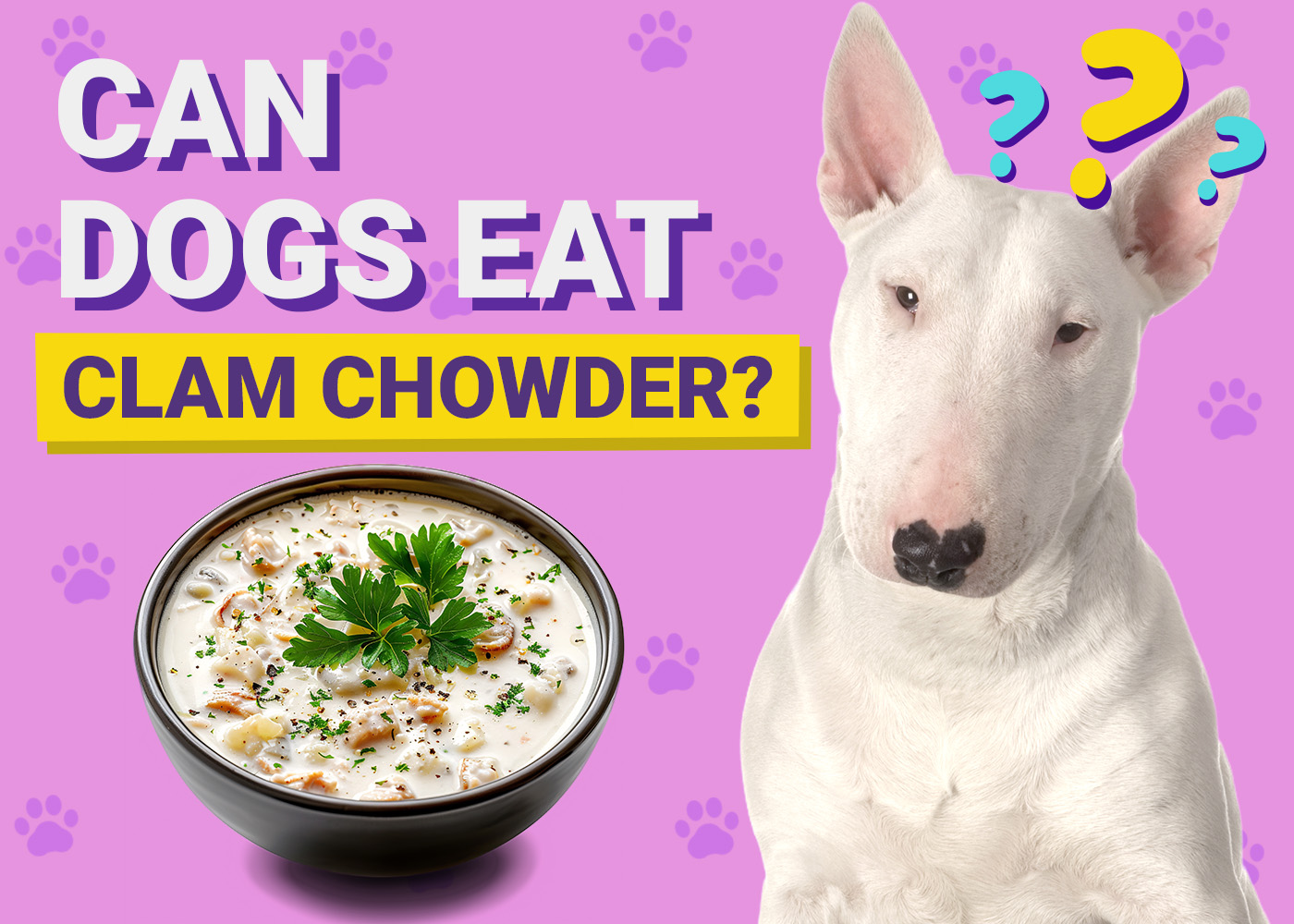 Can Dogs Eat Clam Chowder? Vet-Verified Nutrition Facts & FAQ