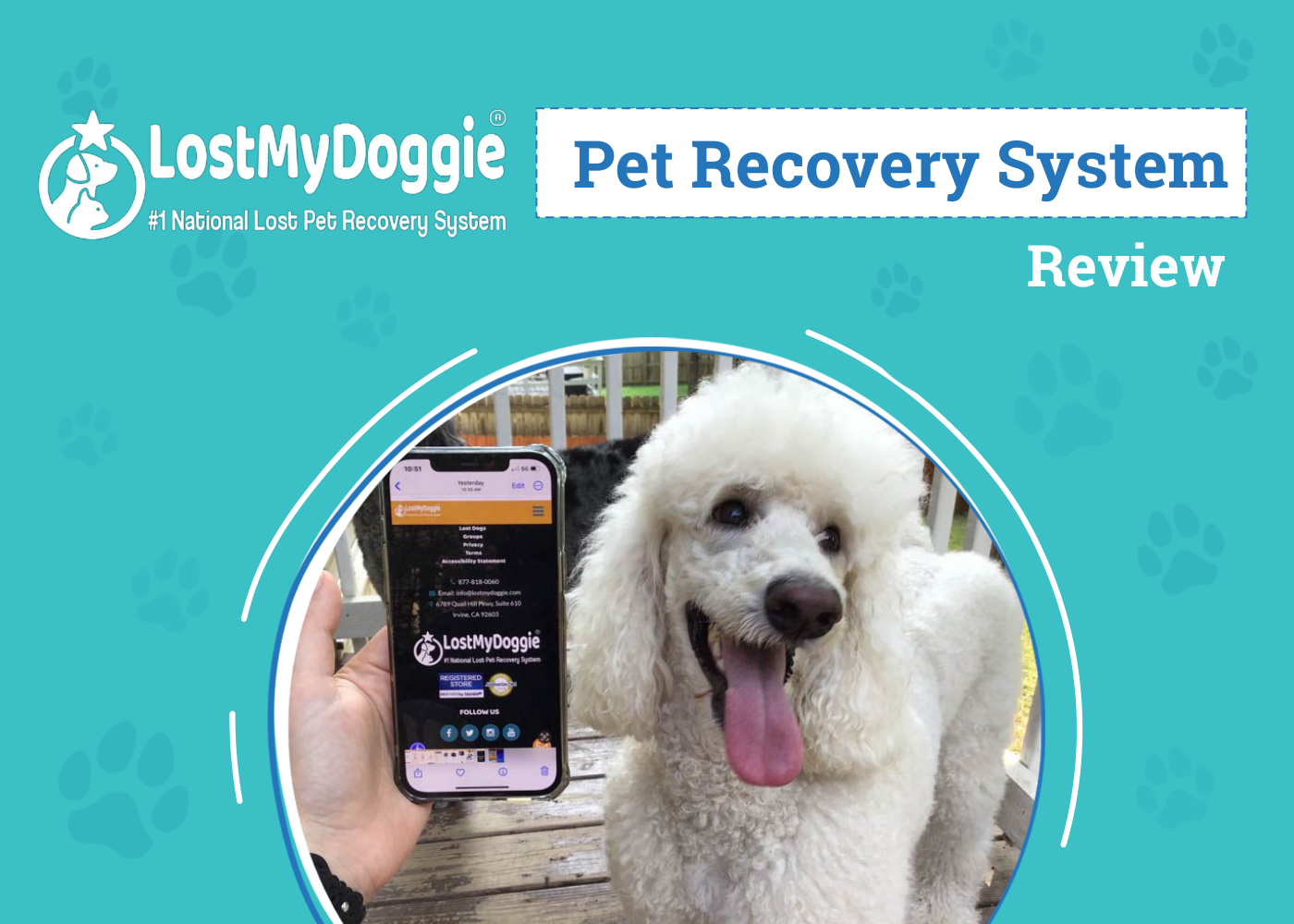 Lost My Doggie Pet Recovery System Review 2026: An Expert's Breakdown