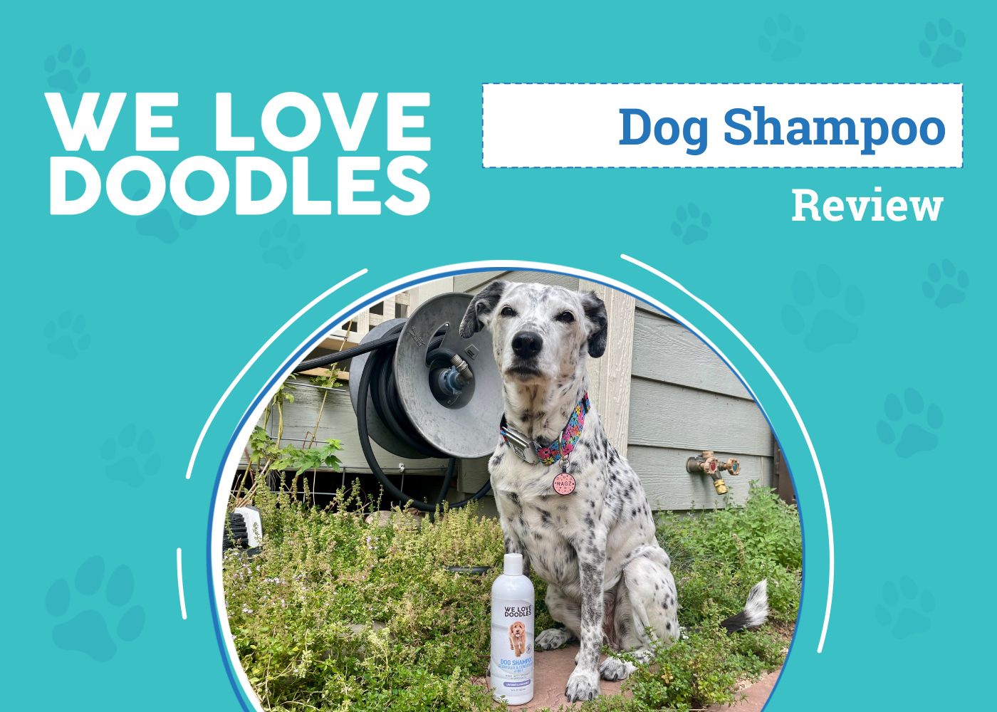 We Love Doodles Dog Shampoo Review 2026: An Expert's Breakdown