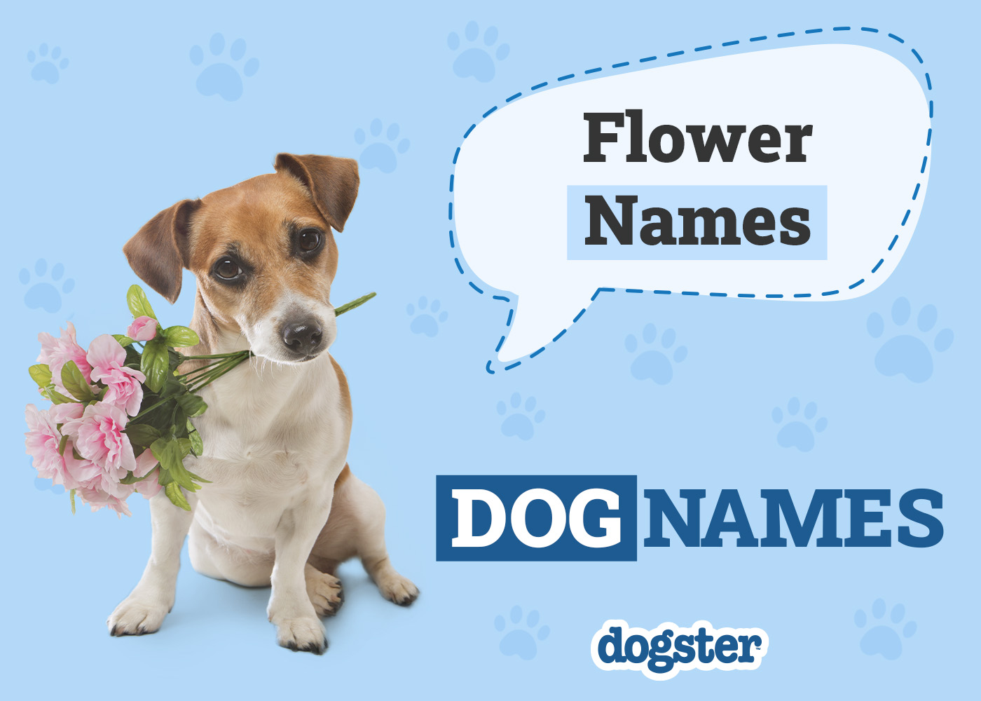 130+ Flower Names for Dogs: Beautiful & Unique Names